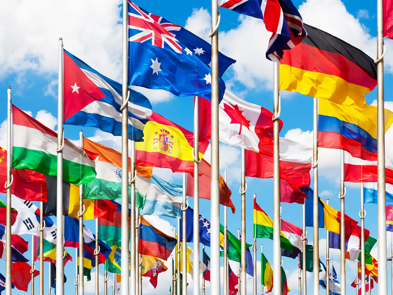 a display of multiple international flags on flagpoles