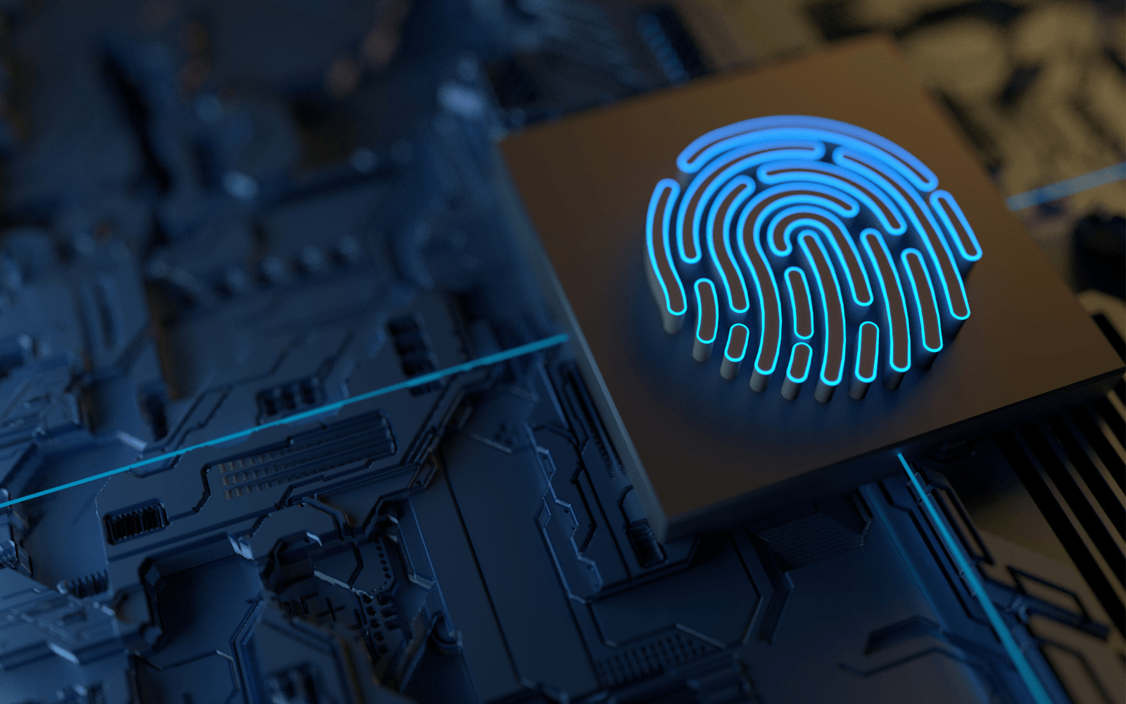 Fingerprint security